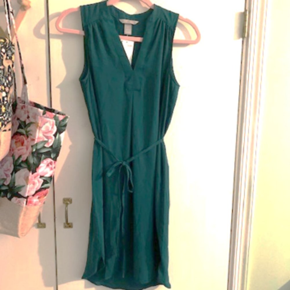 Green Chiffon Dress